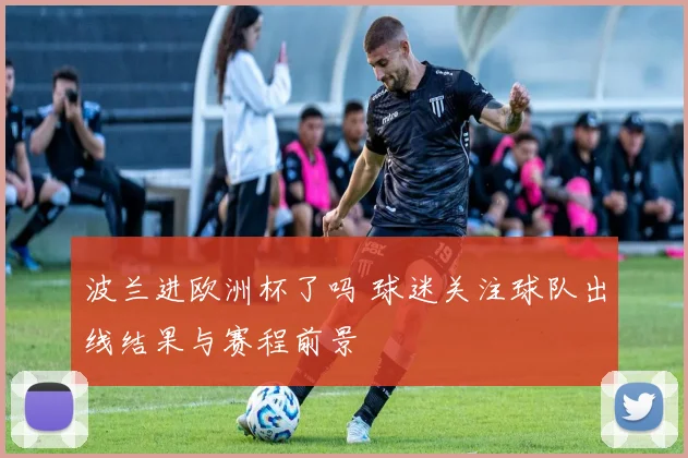 波兰进欧洲杯了吗 球迷关注球队出线结果与赛程前景